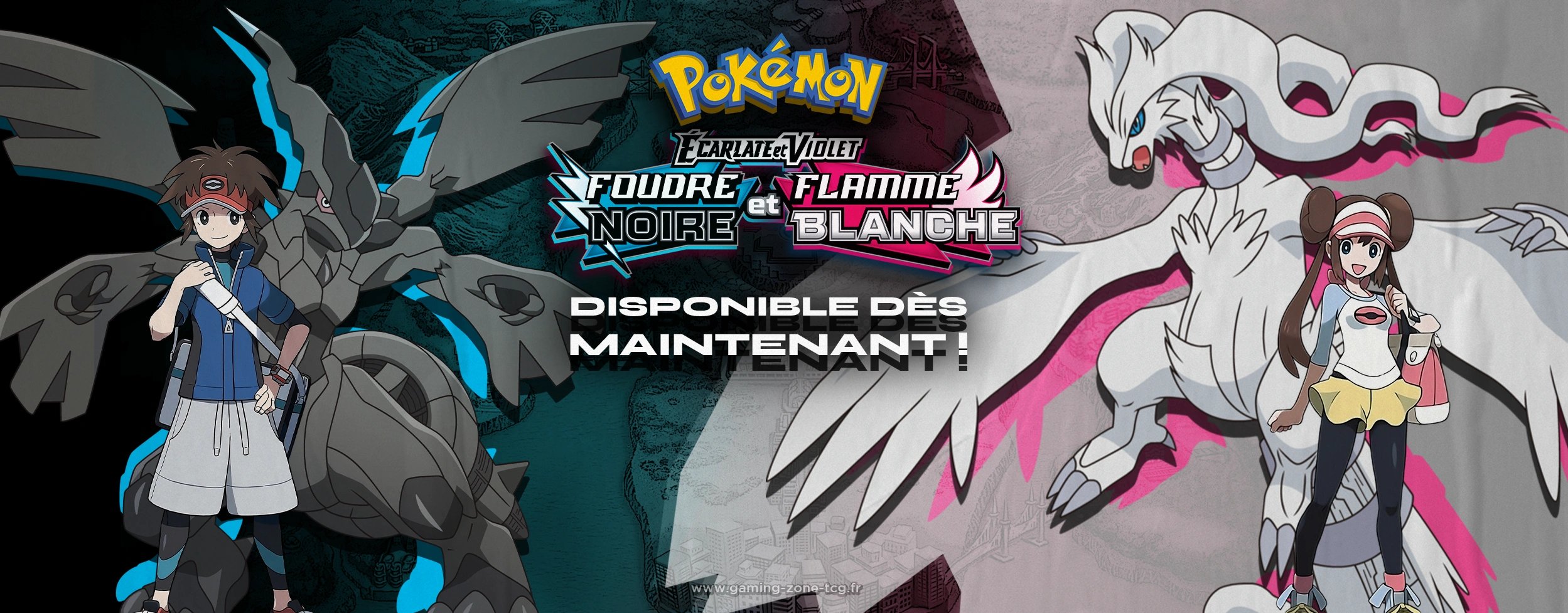 pokemon noir et blanc